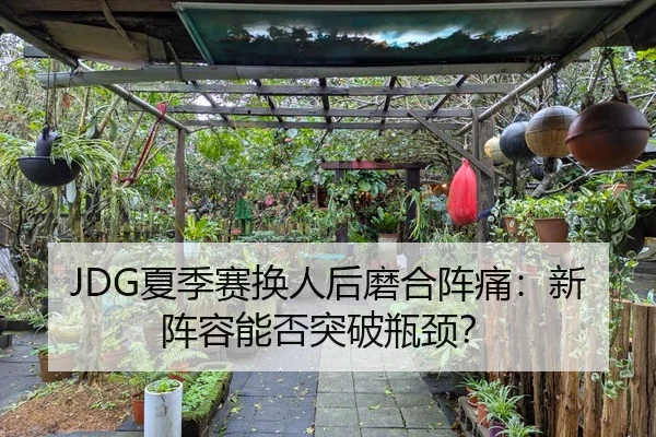 JDG夏季赛换人后磨合阵痛：新阵容能否突破瓶颈？